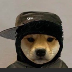 Meet your Posher, Santino